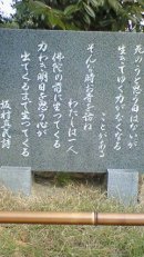 画像: ガラガラの表参道より