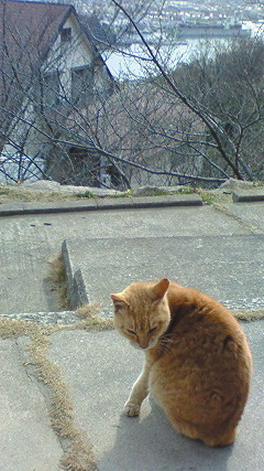 画像:  Amore（？）と一緒の時間